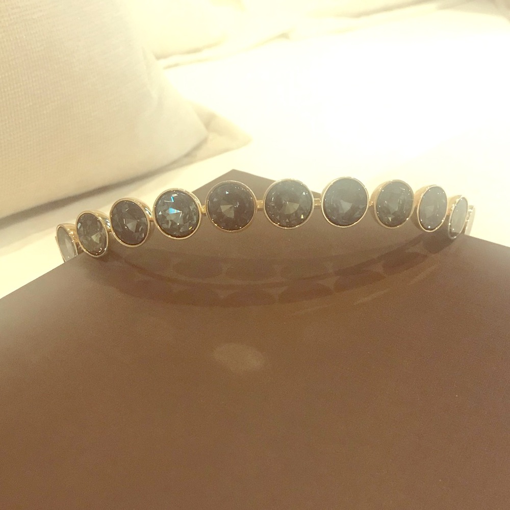 Rare Louis Vuitton headband